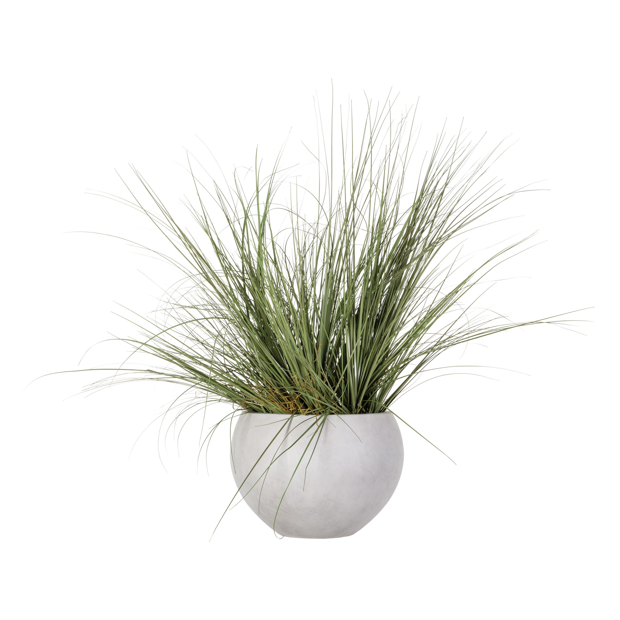 Faux Wild Grass in White Cement Pot, 44