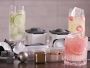 Williams Sonoma Perfect Cube Tray with Lid, Set of 2