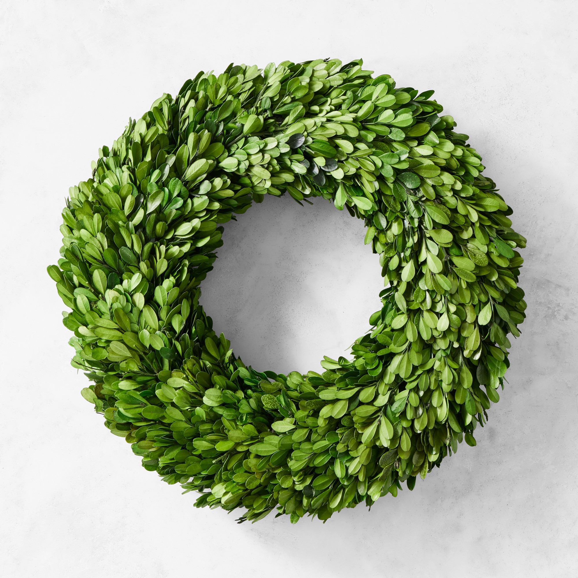 Preserved Boxwood Wreath