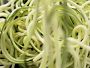 KitchenAid® Spiralizer Plus Attachment