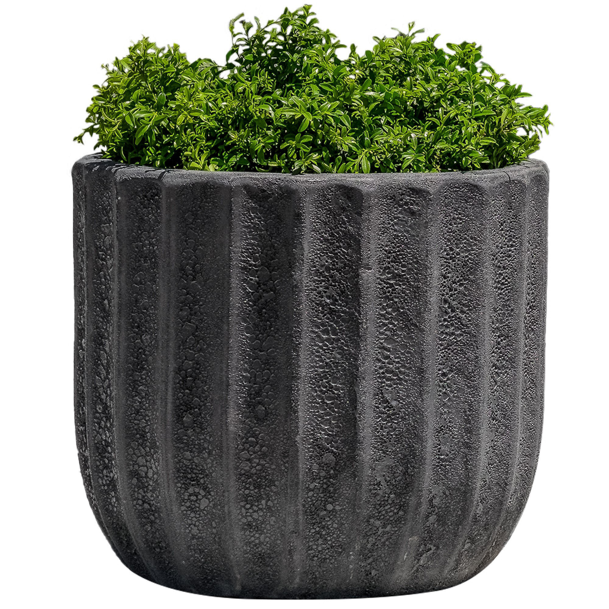 Maris Planter