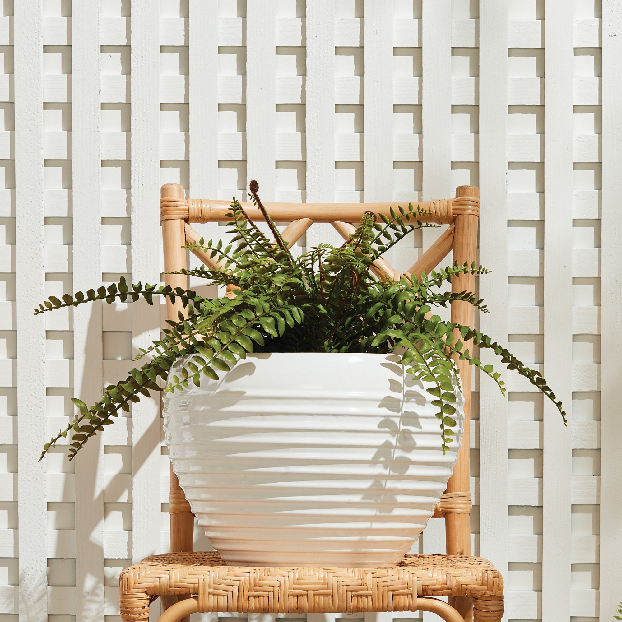 Faux Boston Fern Drop-In, 12