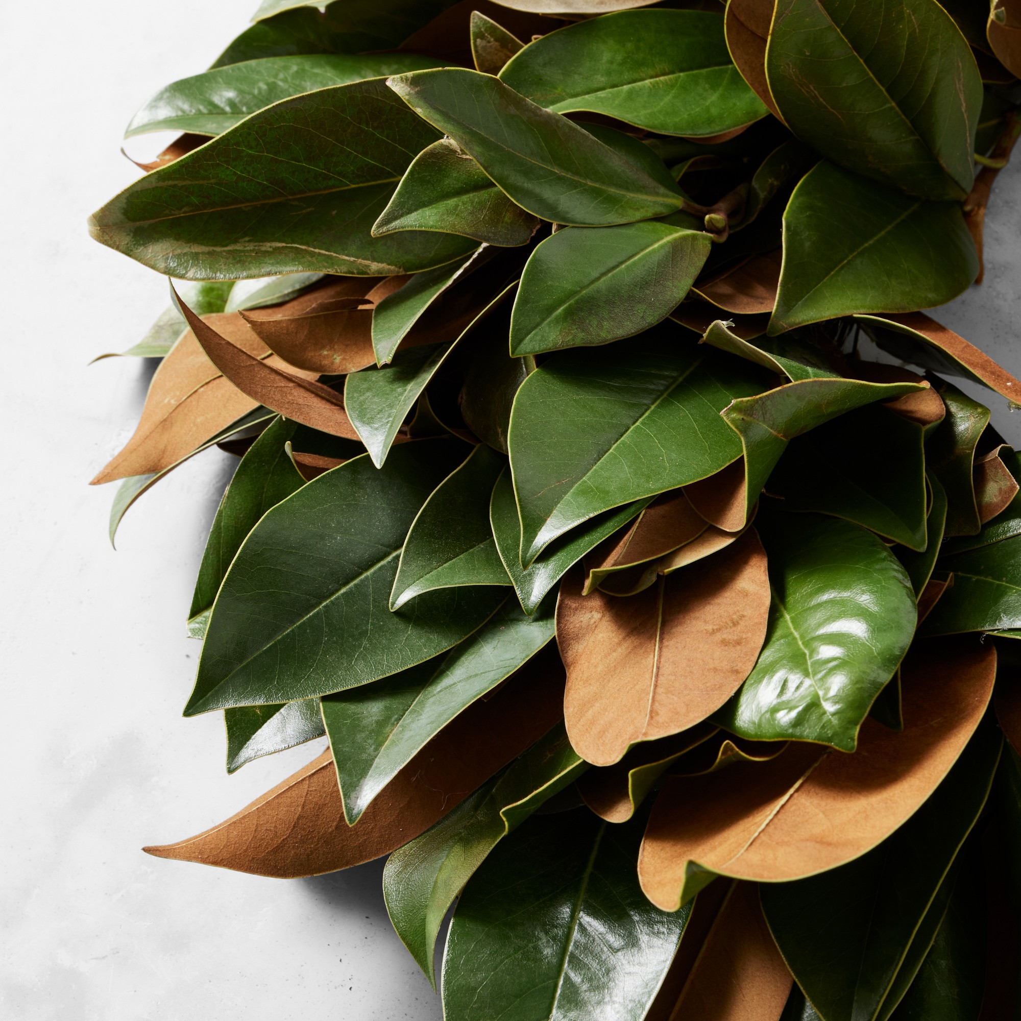 Magnolia Live Wreath & Garland