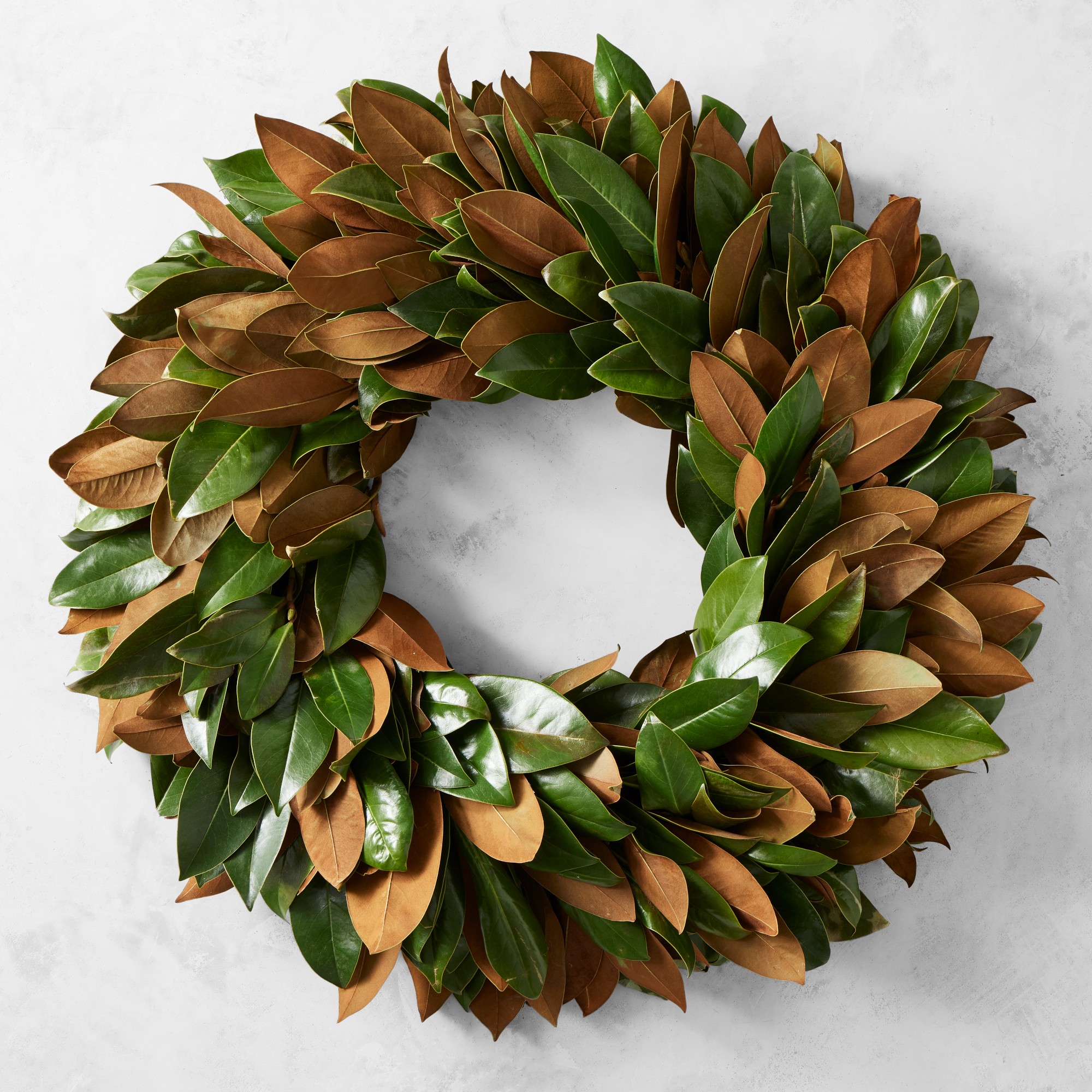 Magnolia Live Wreath & Garland