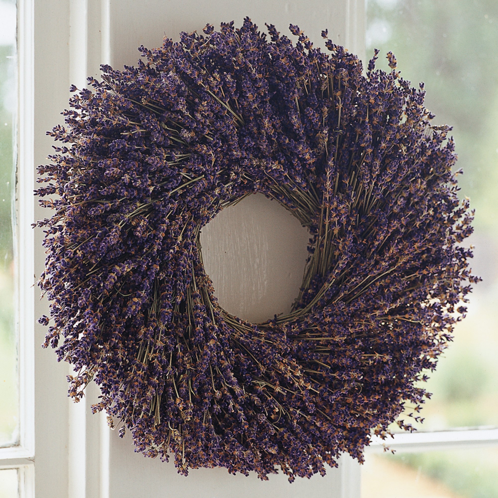 Lavender Live Wreath, 14