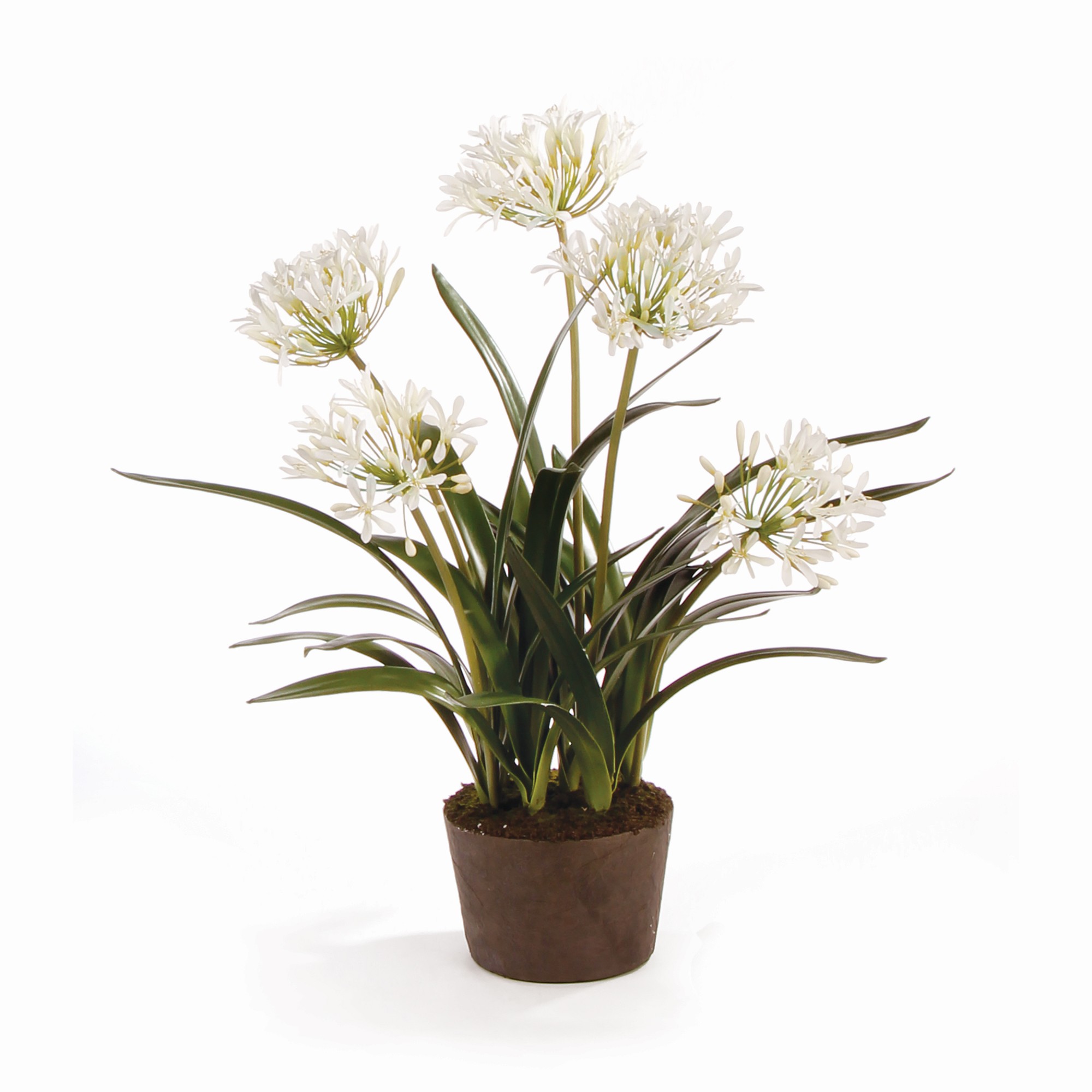 Faux Agapanthus Drop-In