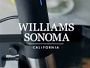 Anova Precision® Cooker 3.0 with Wi-Fi + Williams Sonoma Thermo-Clad Stainless-Steel Stock Pot