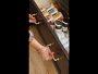Hold Everything In-Drawer Spice Storage
