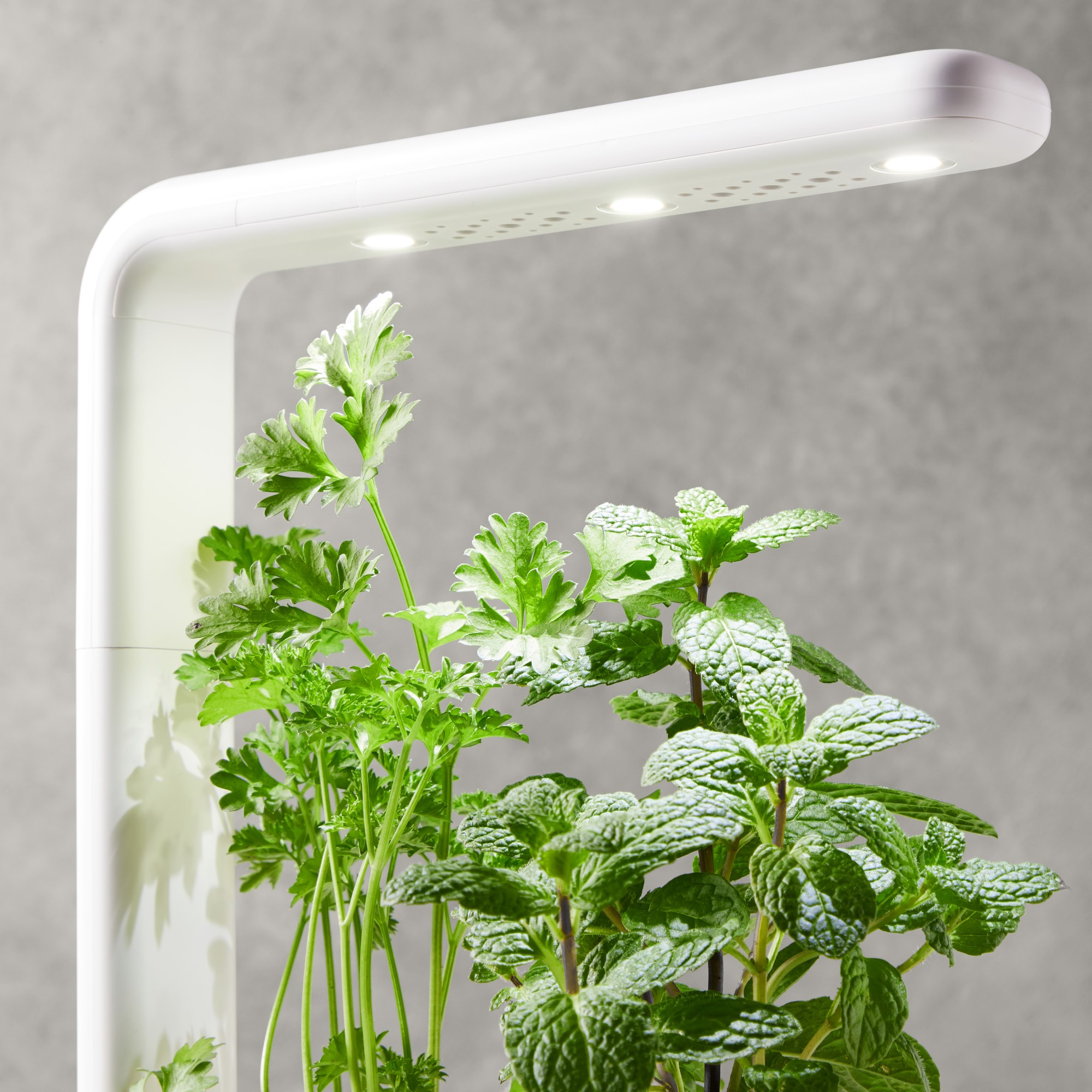 Click & Grow Smart Garden System, 3 Pod, Grey