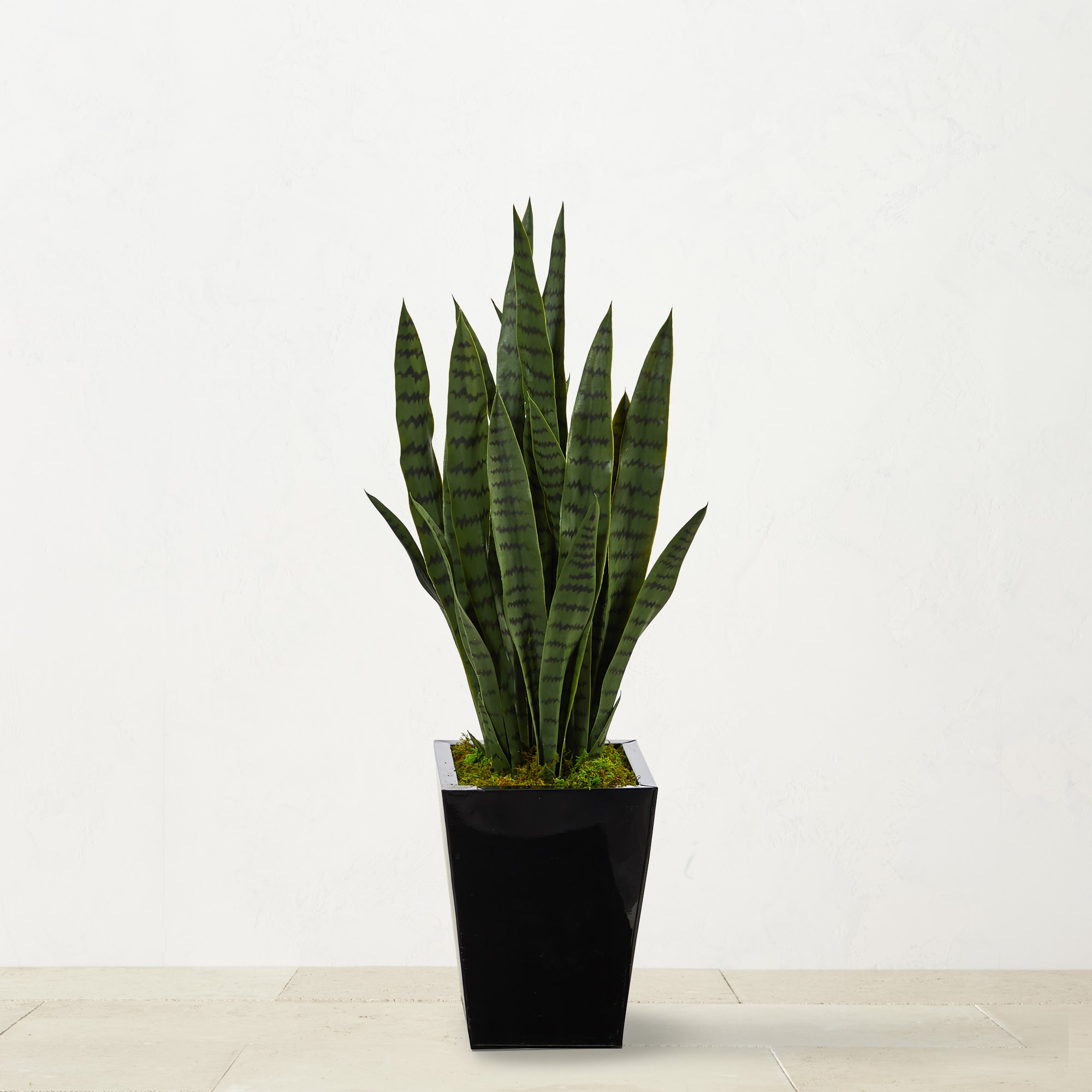 Faux Sansevieria Indoor Plant, 40