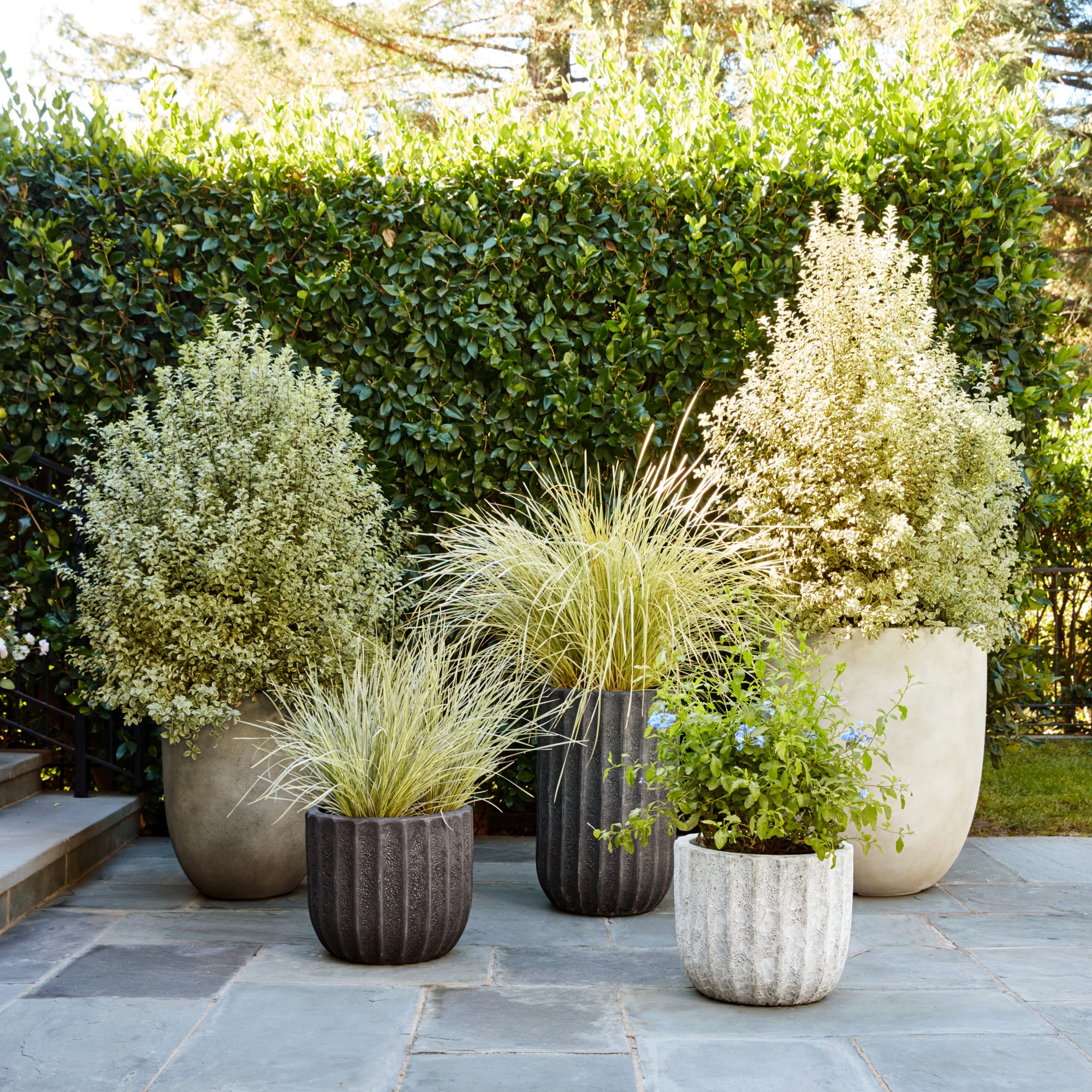 Bradford Planter