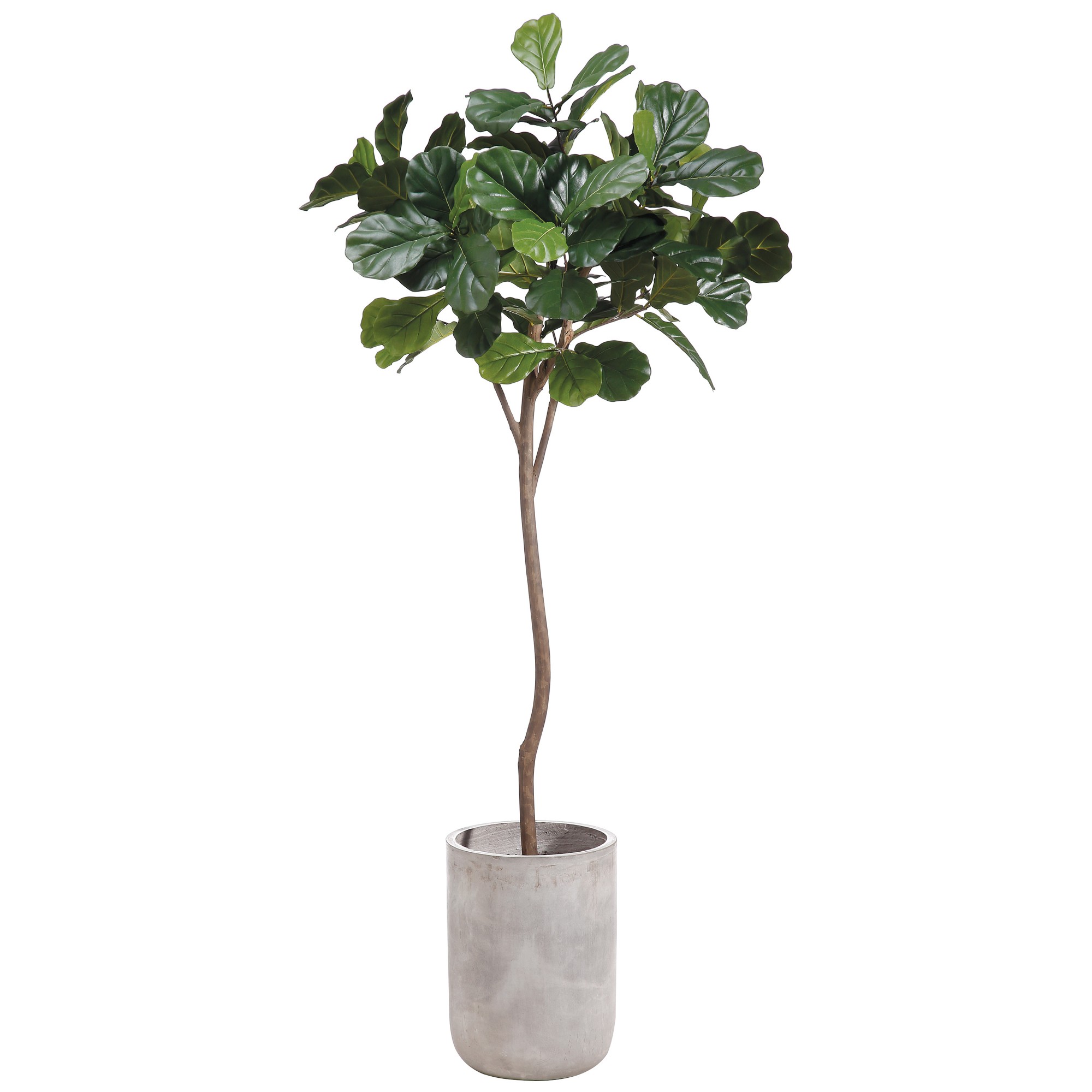 Faux Fiddle Leaf Tree in Fiber Cement Planter, 84