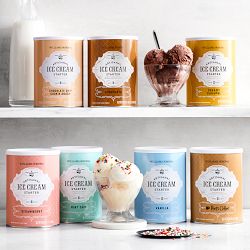 Williams Sonoma Ice Cream Starter, Creamy Caramel