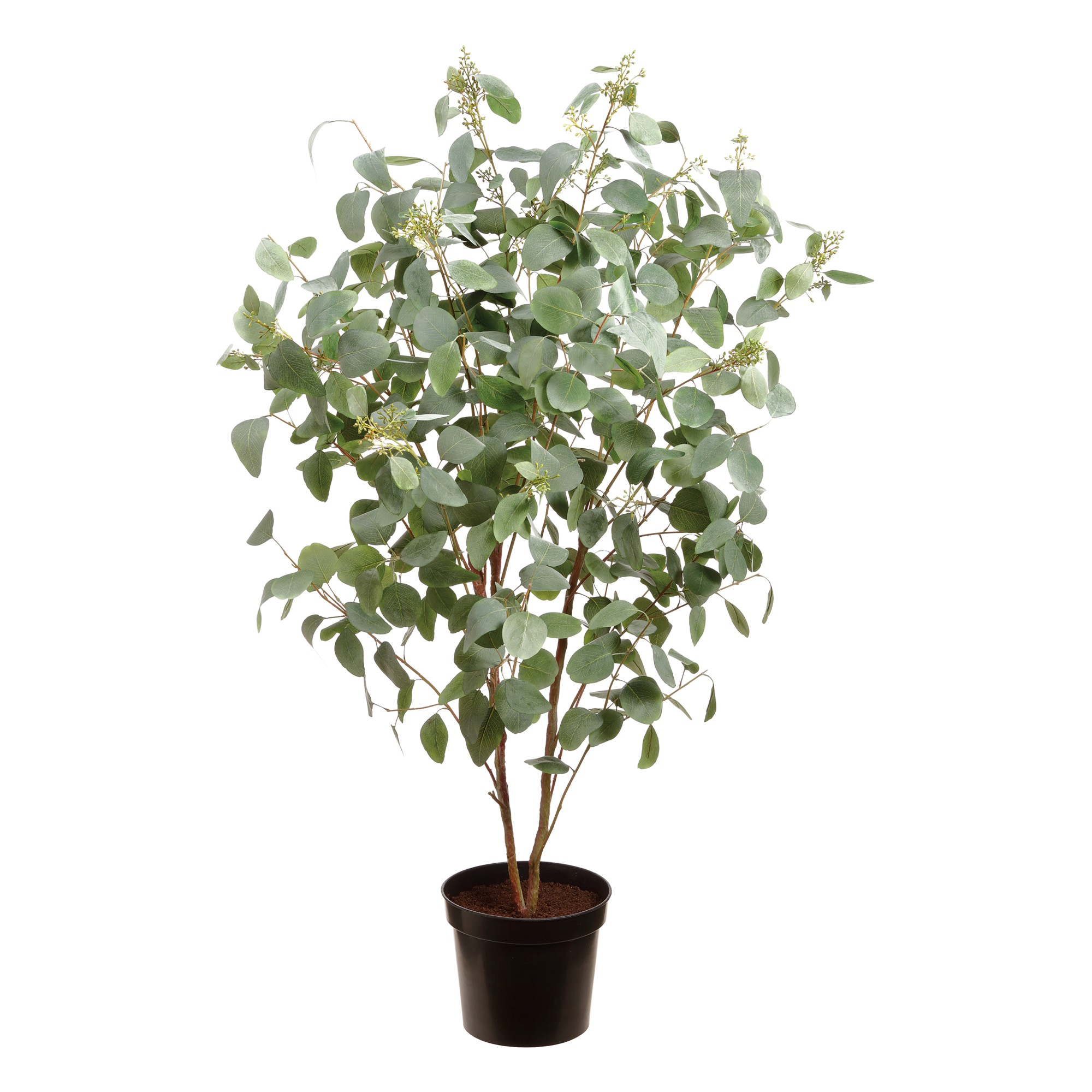 Faux Eucalyptus Plant in Planter Pot, 67
