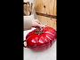 Staub Enameled Cast Iron Tomato Cocotte, 3-Qt.