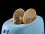 SMEG 4-Slice Toaster