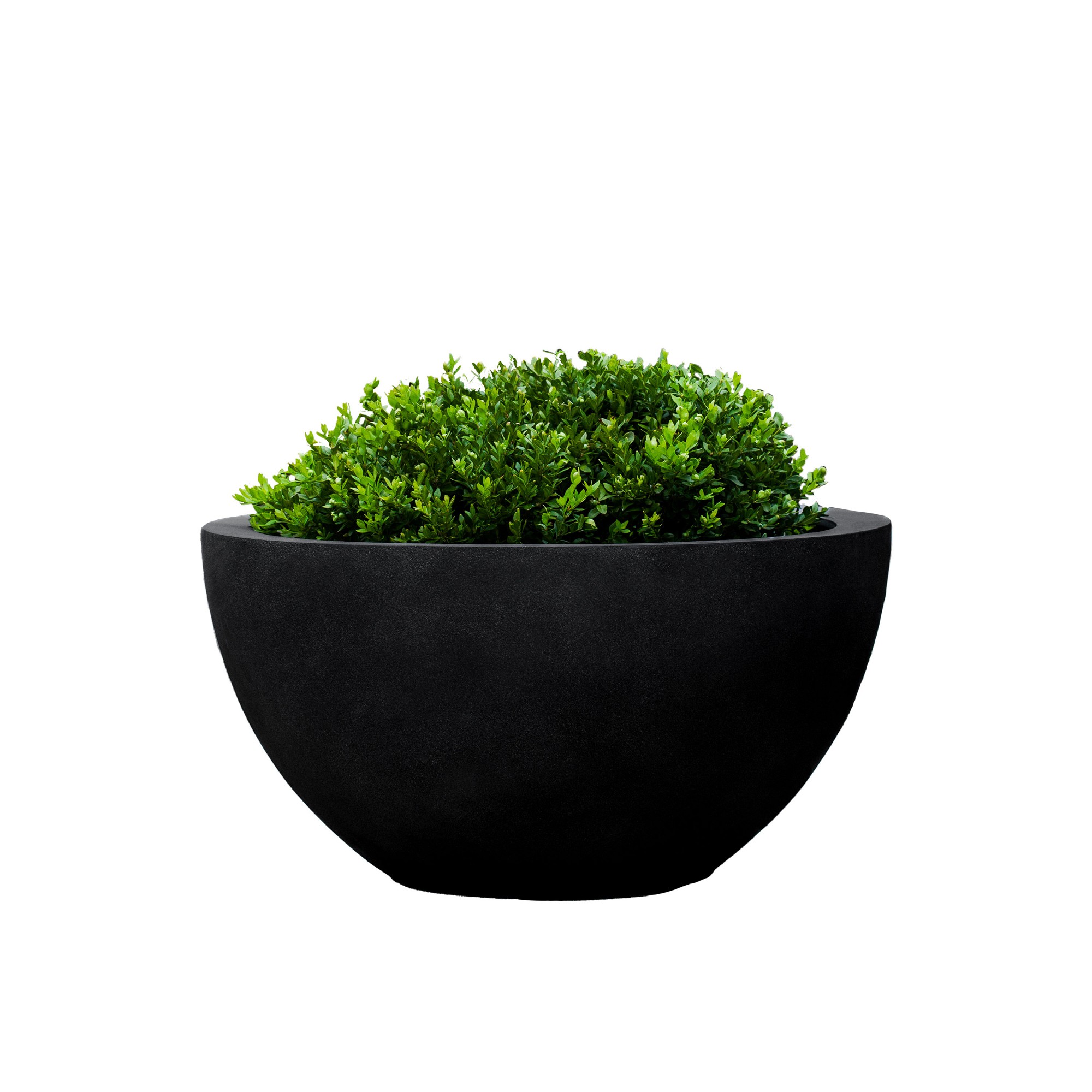 Bradford Planter