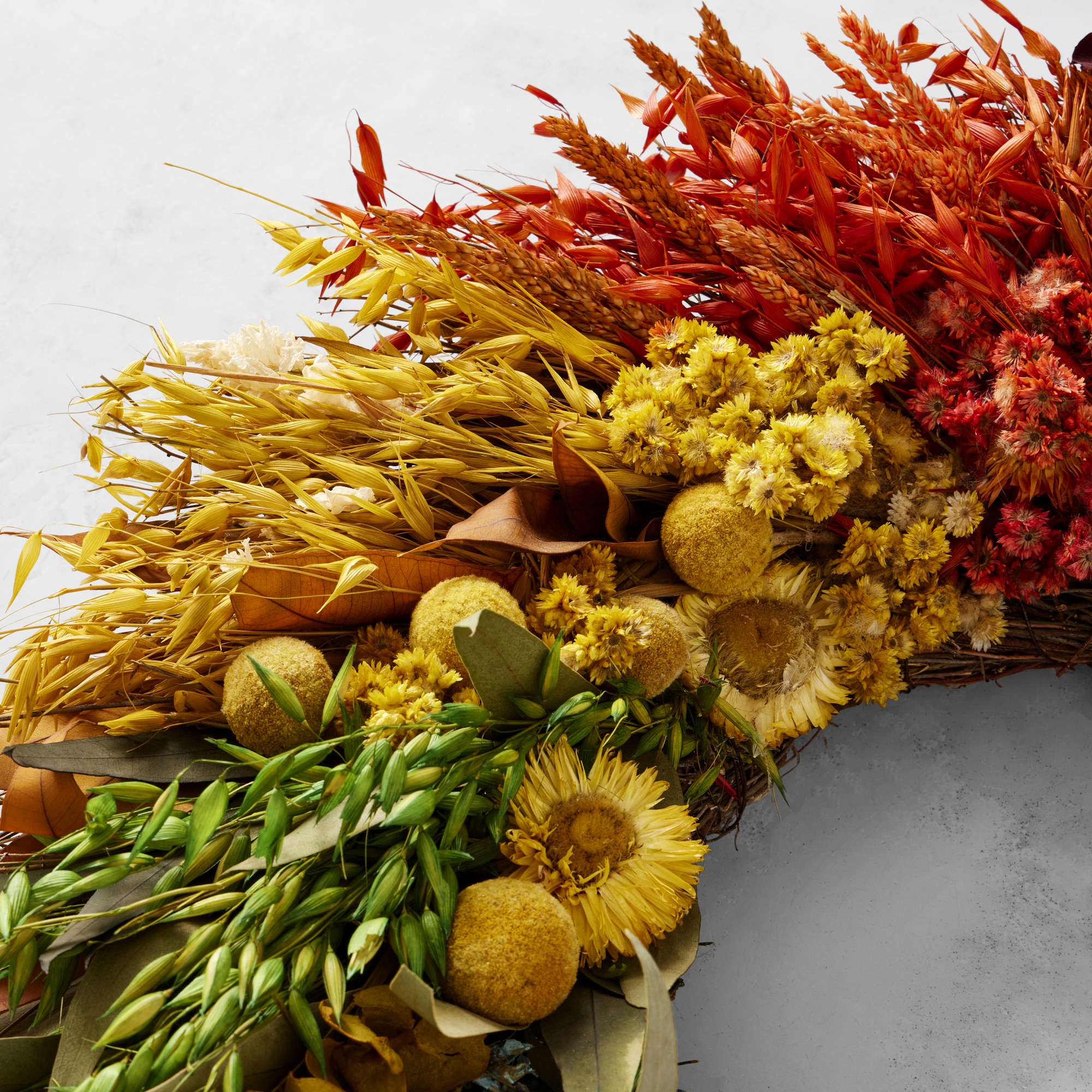 Rainbow Kaleidoscope Live Wreath