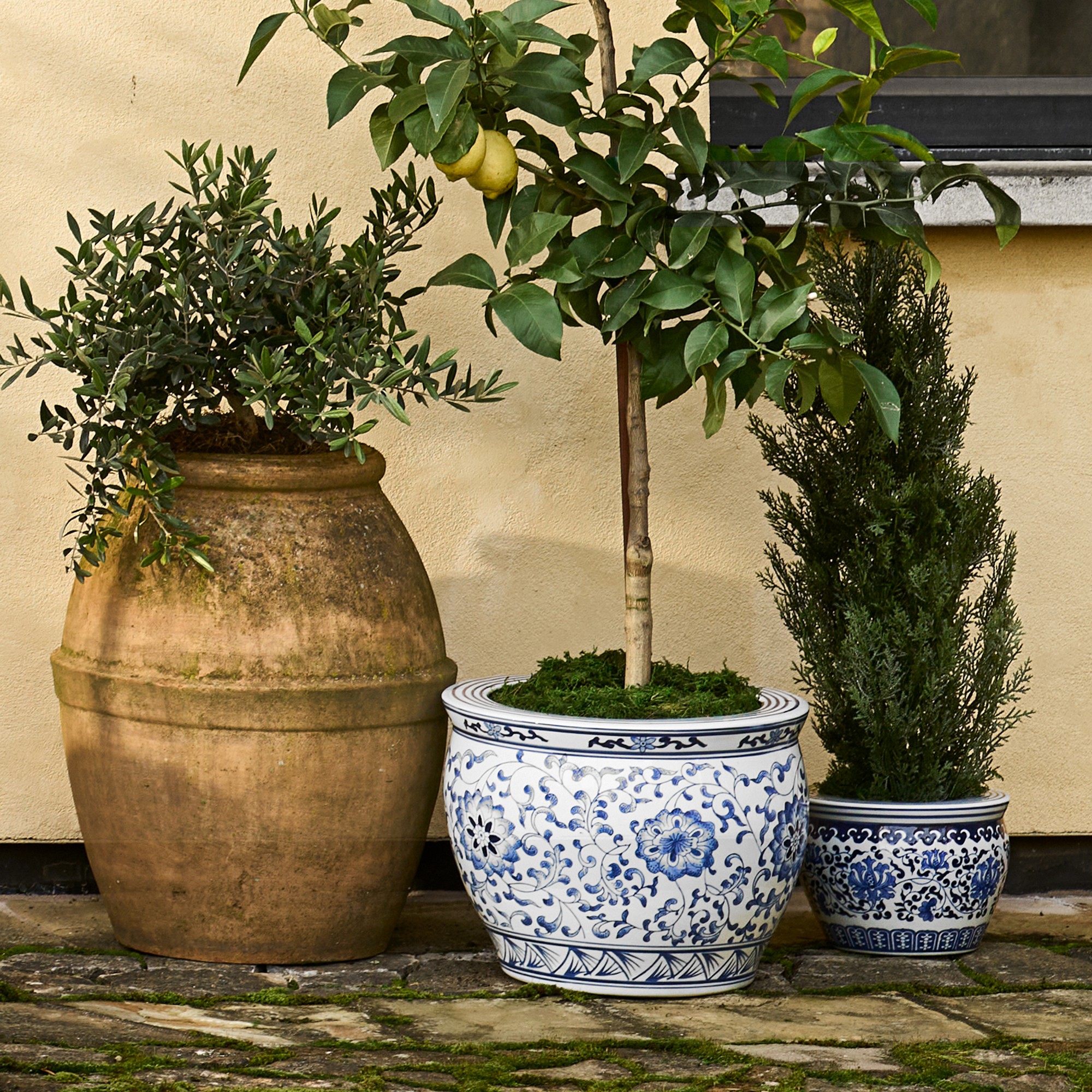 Blue & White Ceramic Planter, Extra Large