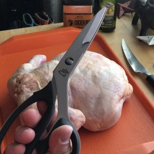 Shun Kitchen Shears