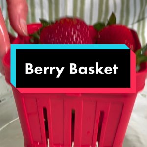 Chef'n Strawberry Slicester