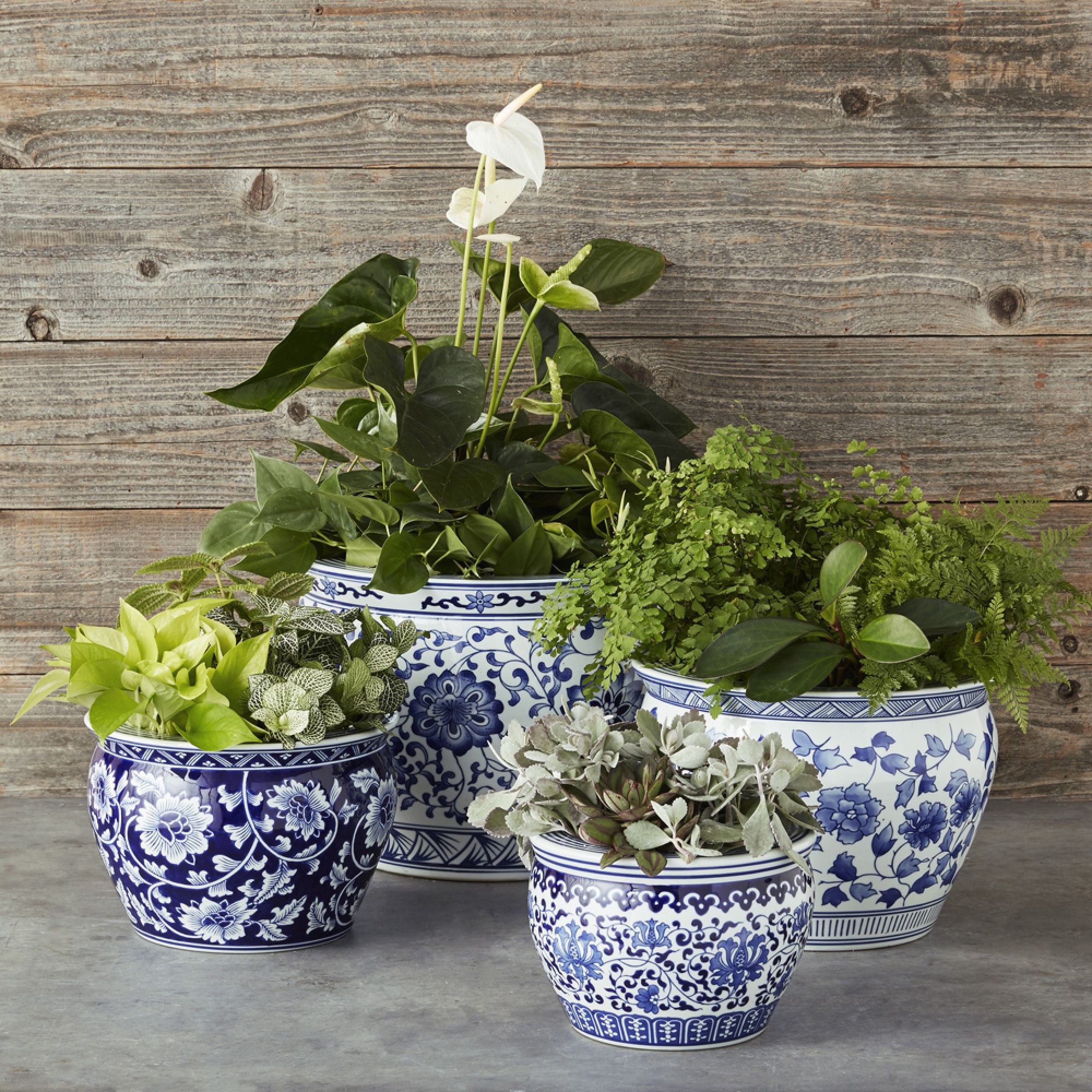 Blue & White Ceramic Planter, Medium
