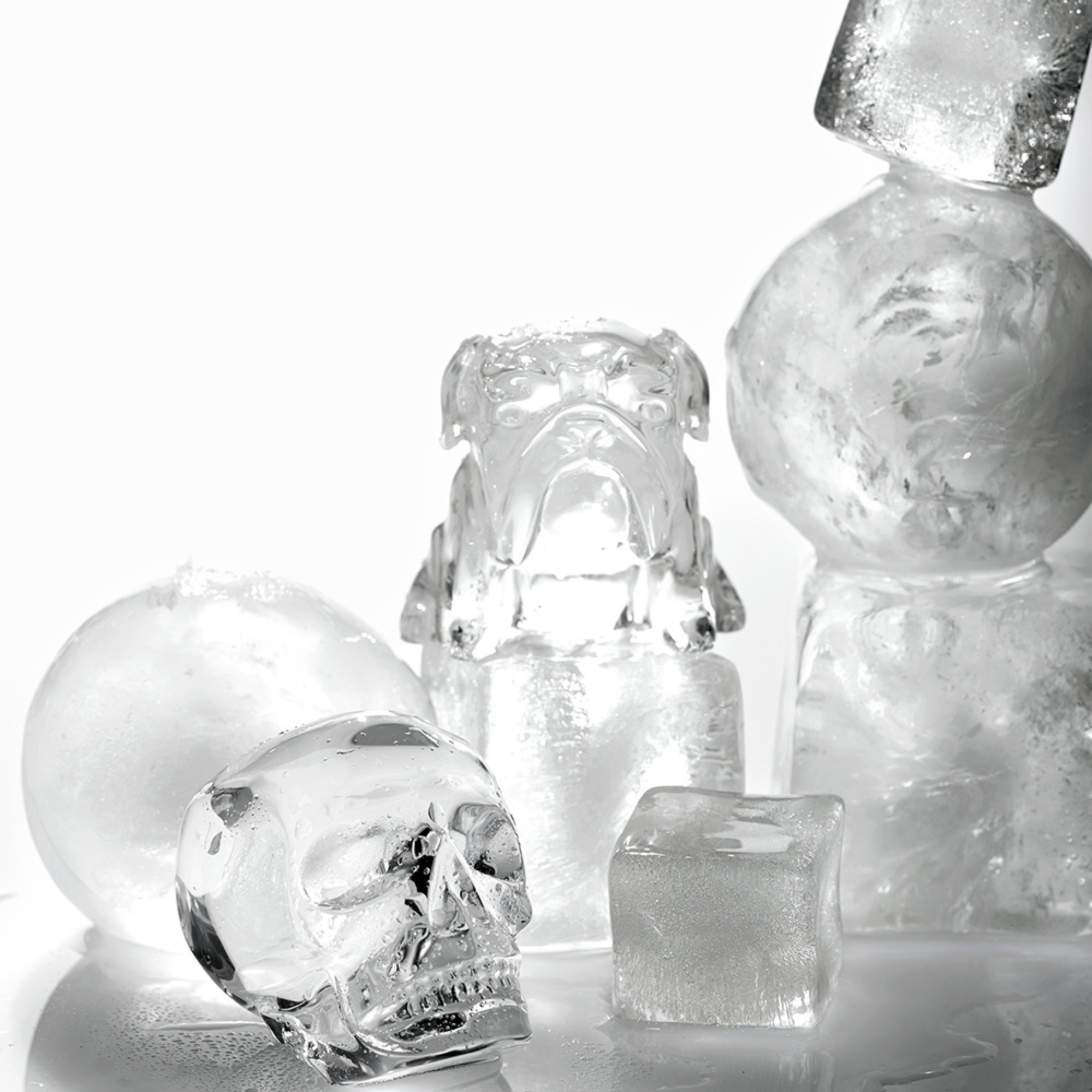 Williams Sonoma Novelty Ice Mold, Set of 2, Bulldog