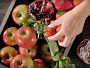 Breville the Juice Fountain® Cold Plus