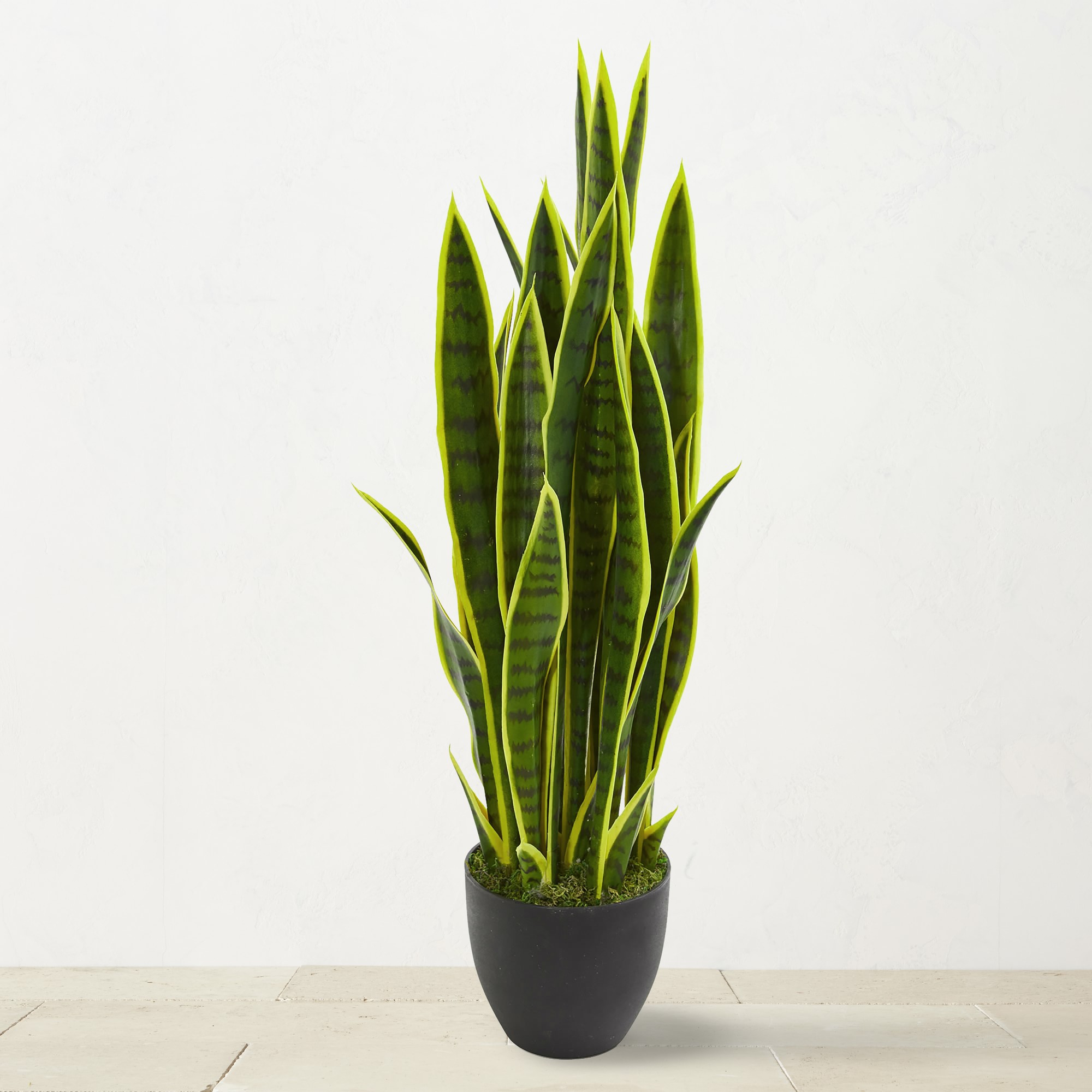 Faux Sansevieria Indoor Plant, 33