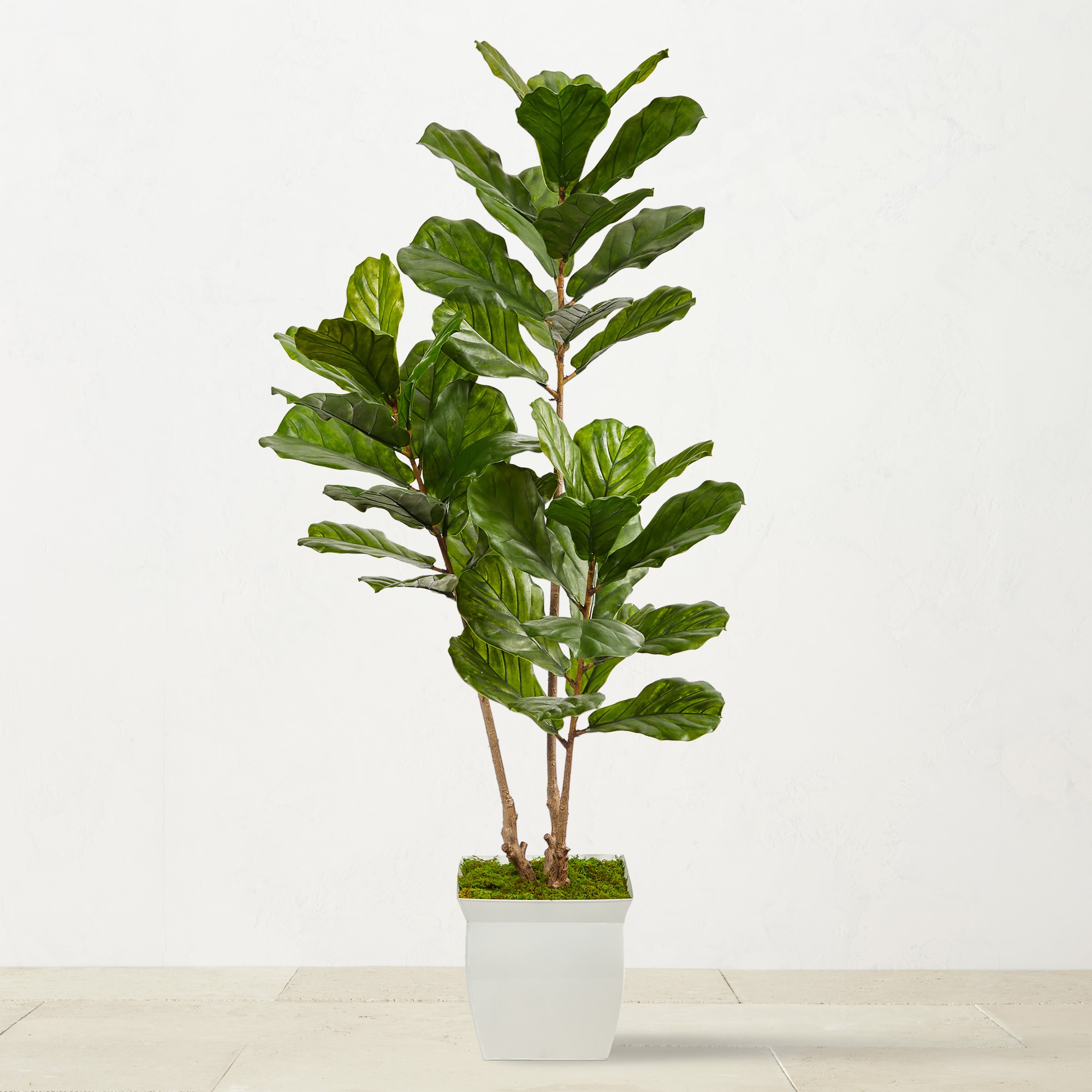 Faux Fiddle Leaf Tree in White Metal Planter, 66