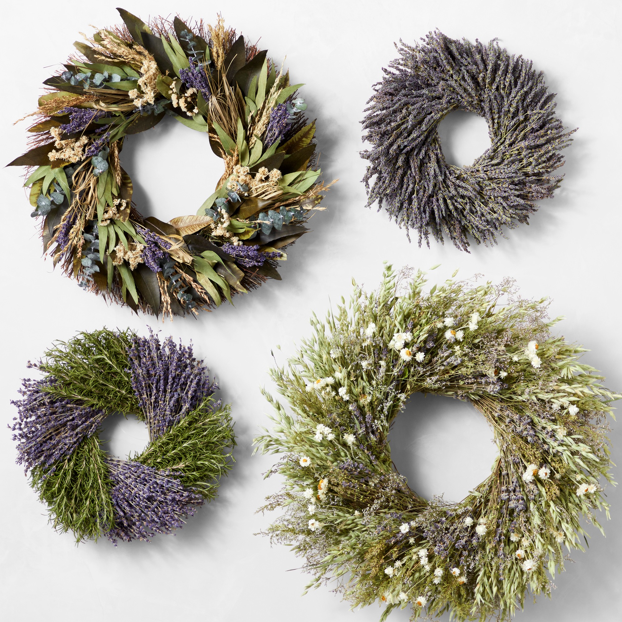 Sweet Lavender Live Wreath, 20