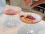 Williams Sonoma Sorbet Starter, Raspberry Lemon