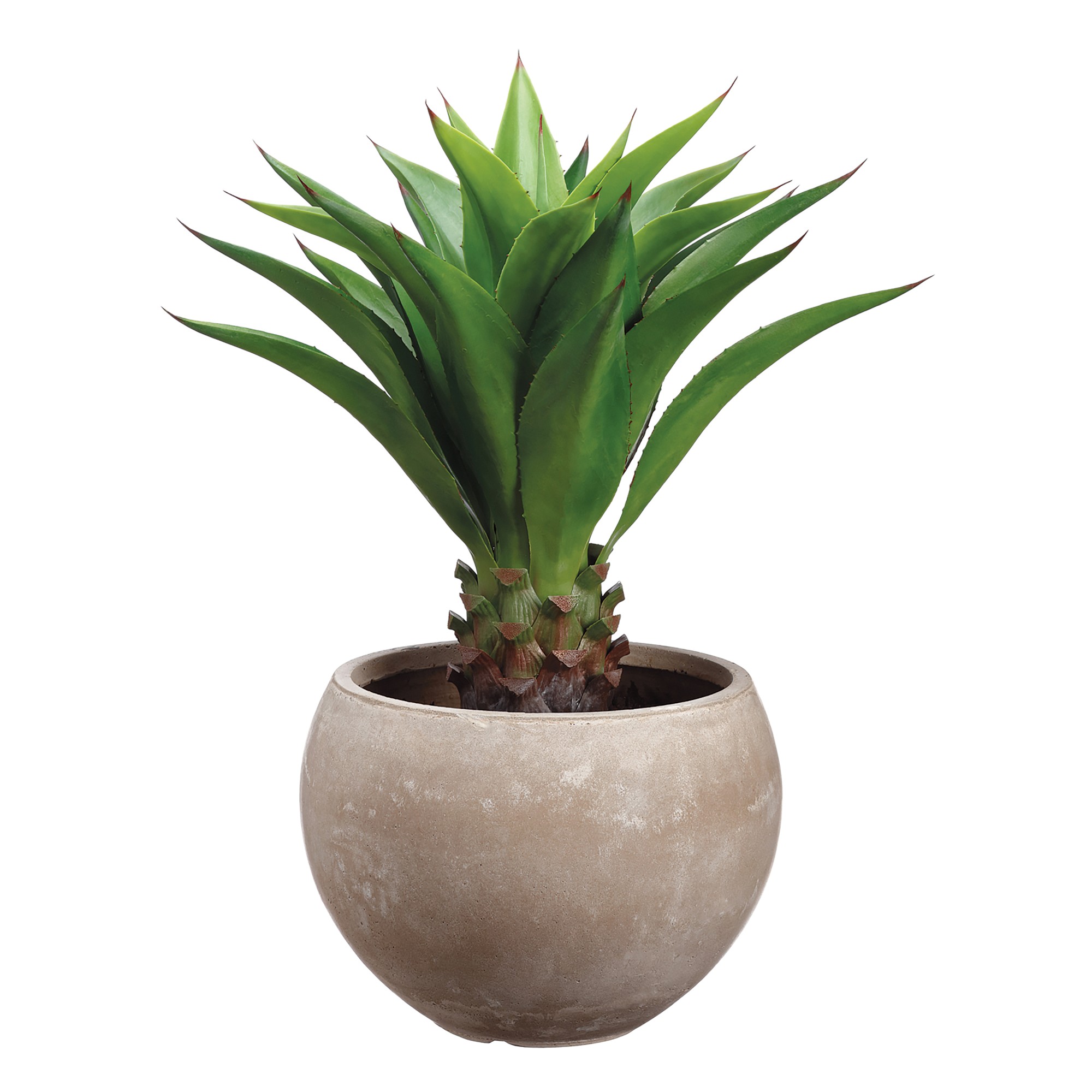 Faux Agave Plant in Clay Pot, 24