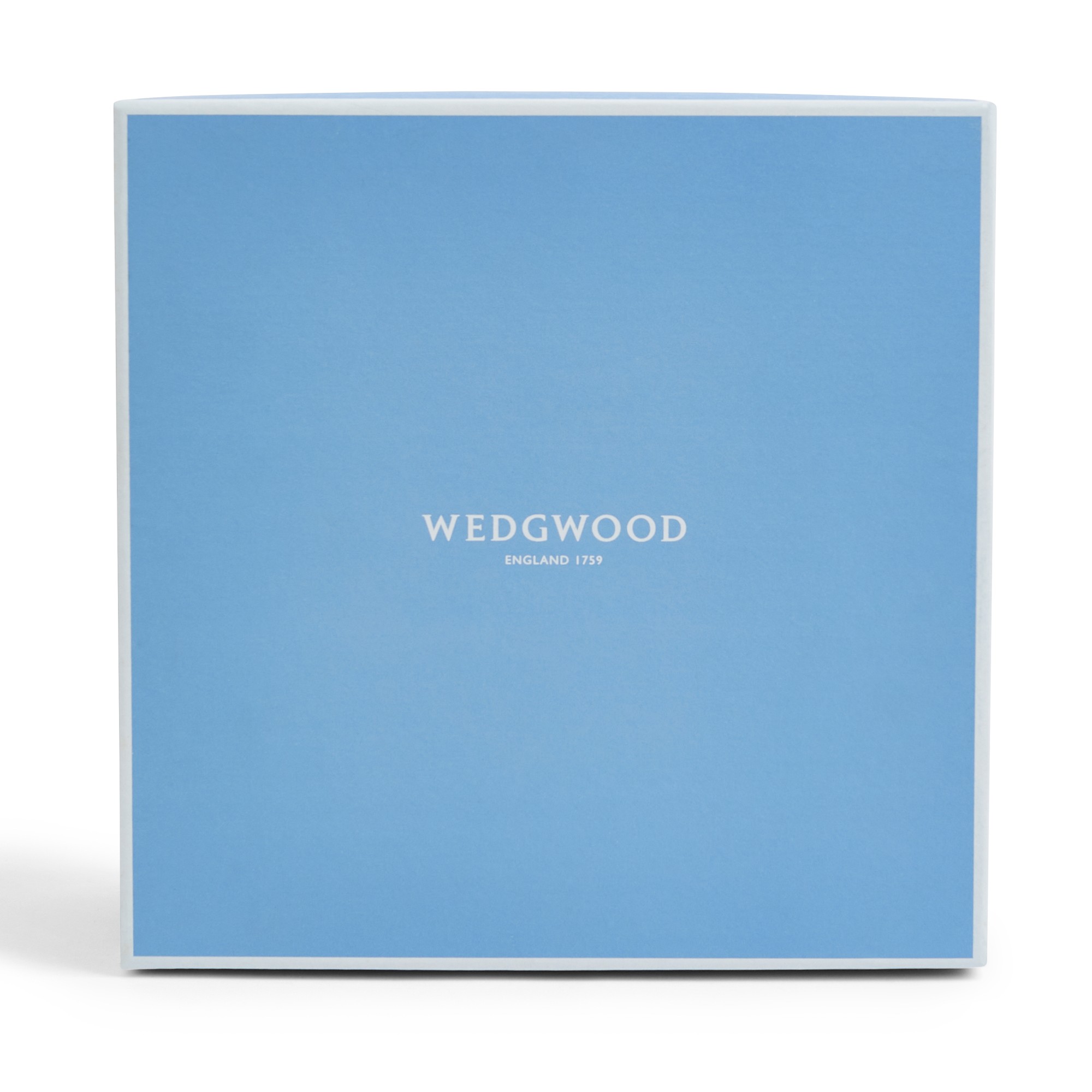 Wedgwood Renaissance Gold 5-Piece Dinnerware Set