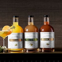 Williams Sonoma Spiced Appled Cocktail Mix