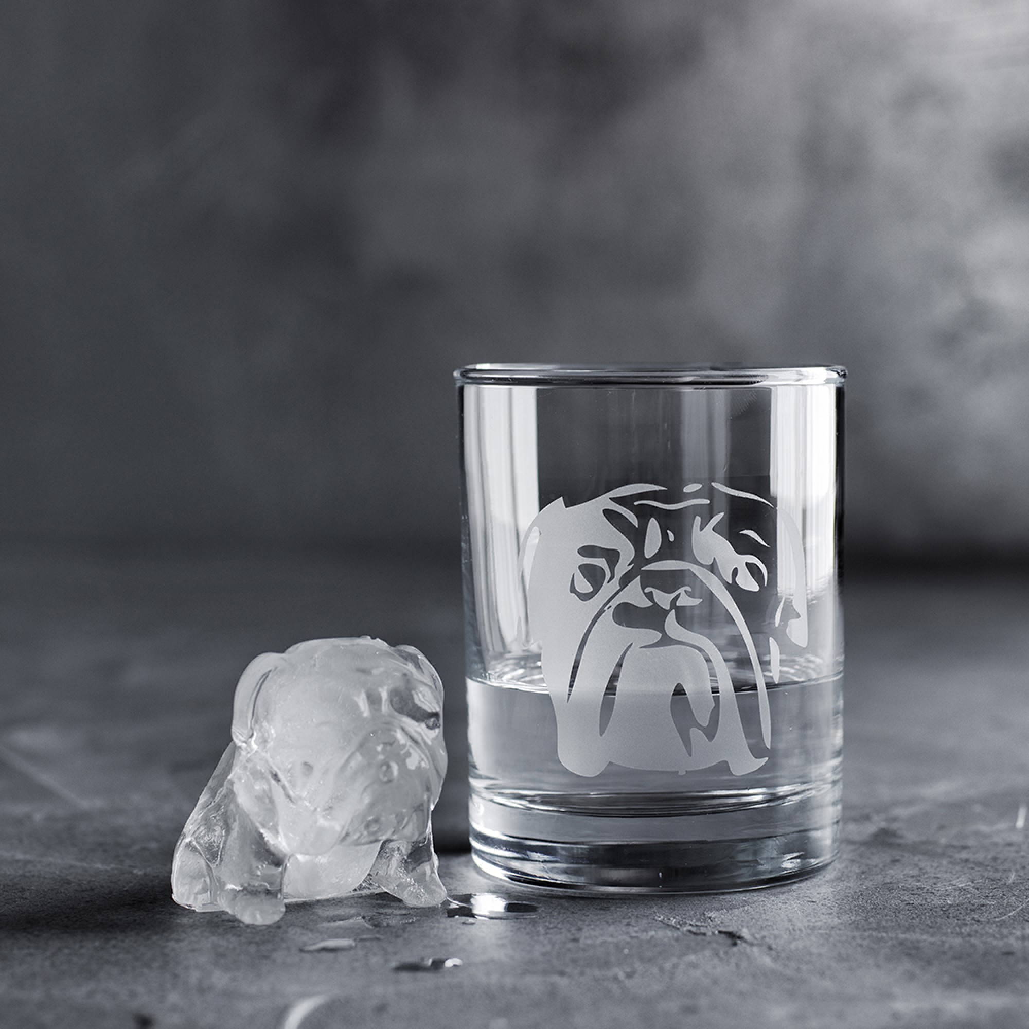 Williams Sonoma Novelty Ice Mold, Set of 2, Bulldog