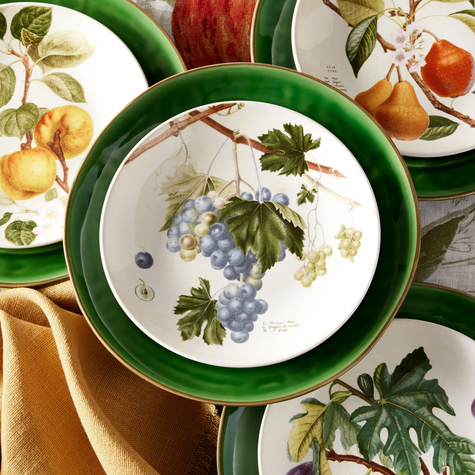 Provençal Dinner Plates