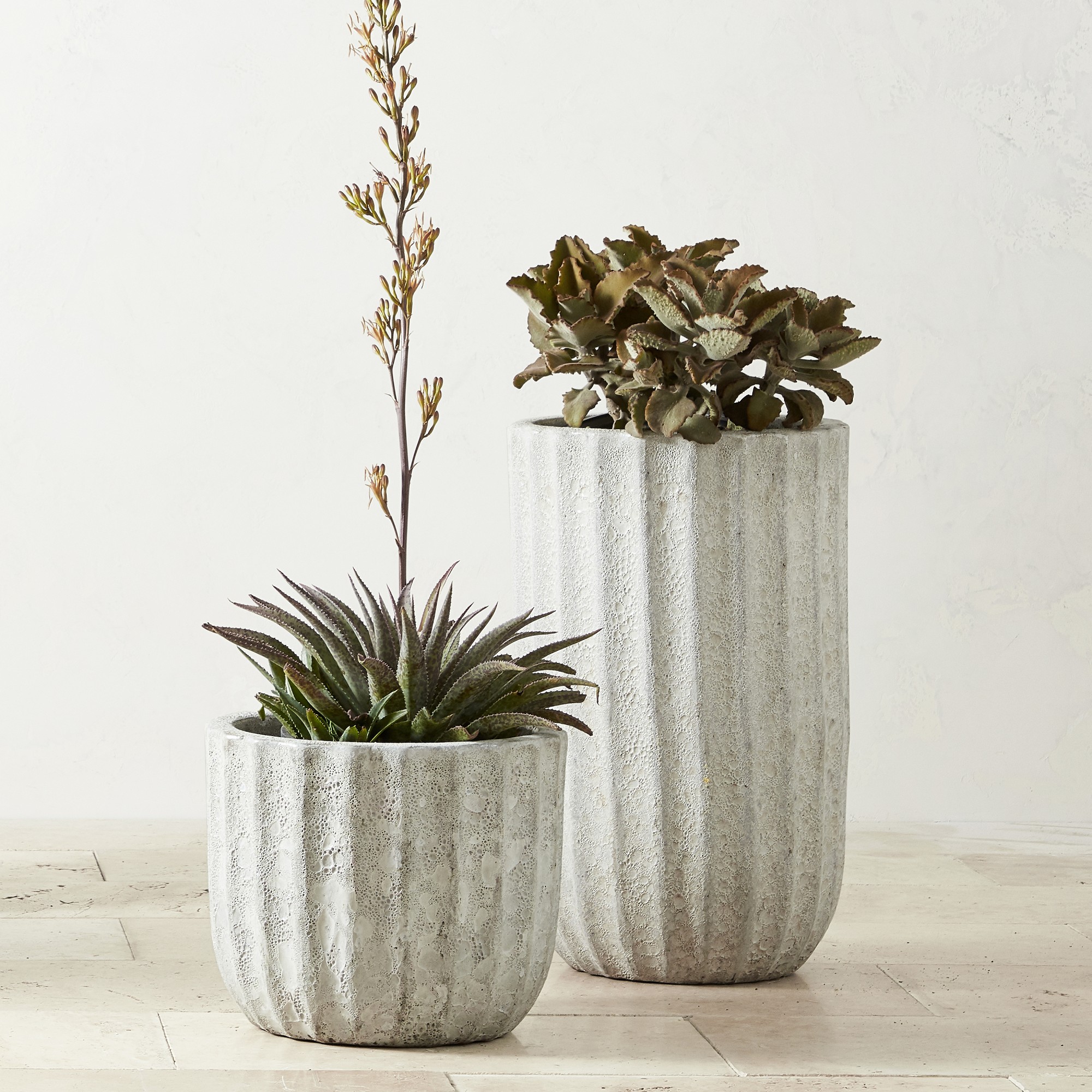 Maris Planter
