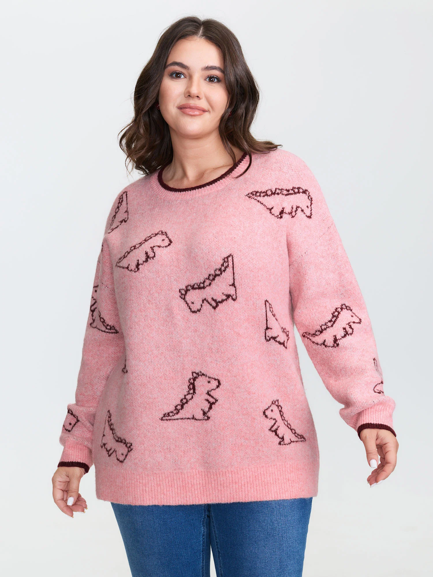 Dinosaur Pattern Jacquard Pullover