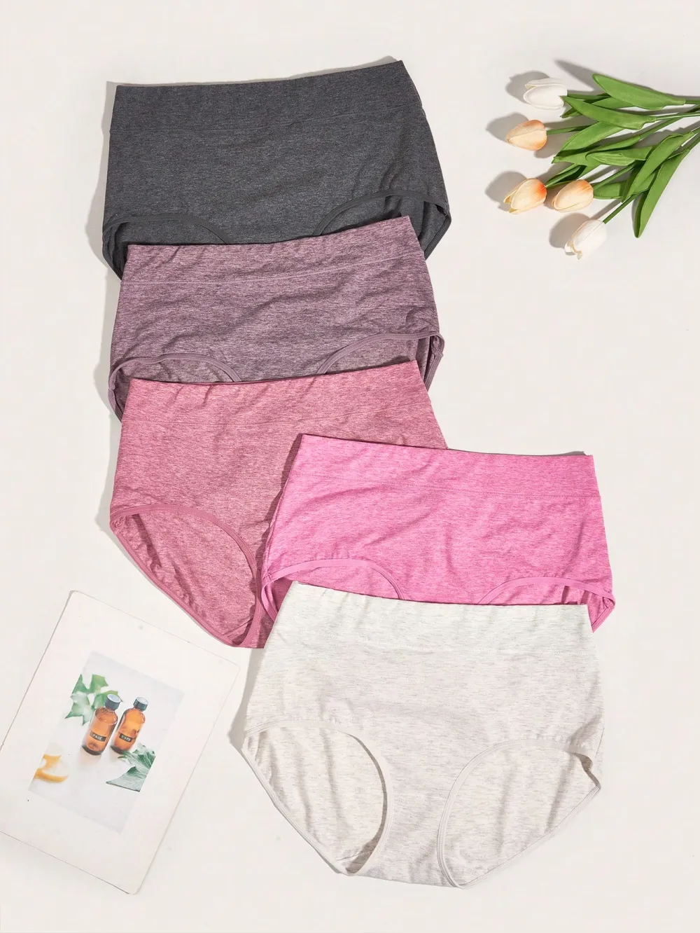 Plus 5 pack Solid Panty