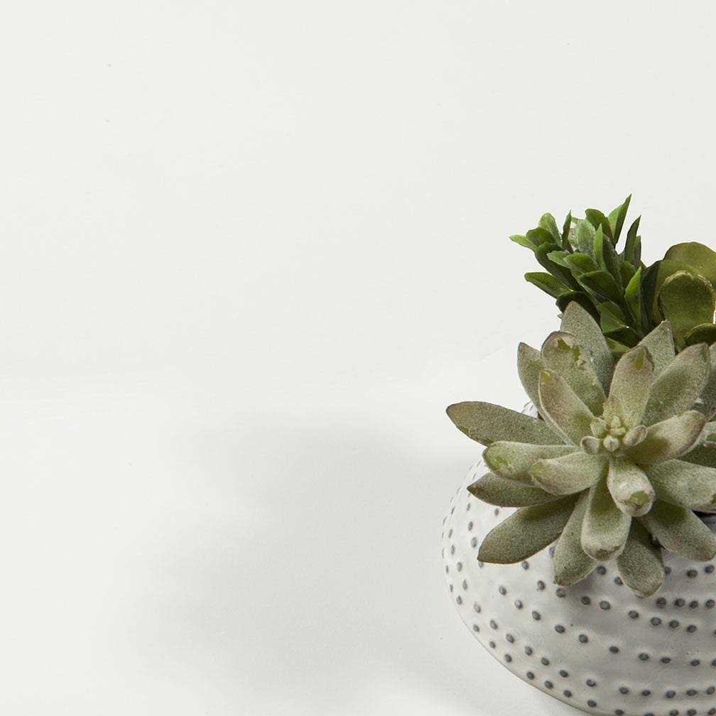 Tvilum Bright 3 Drawer Shoe Cabinet