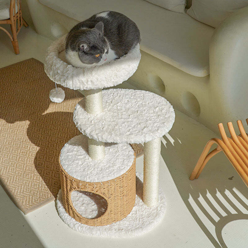 ❤️The Best Gift For Your Cats