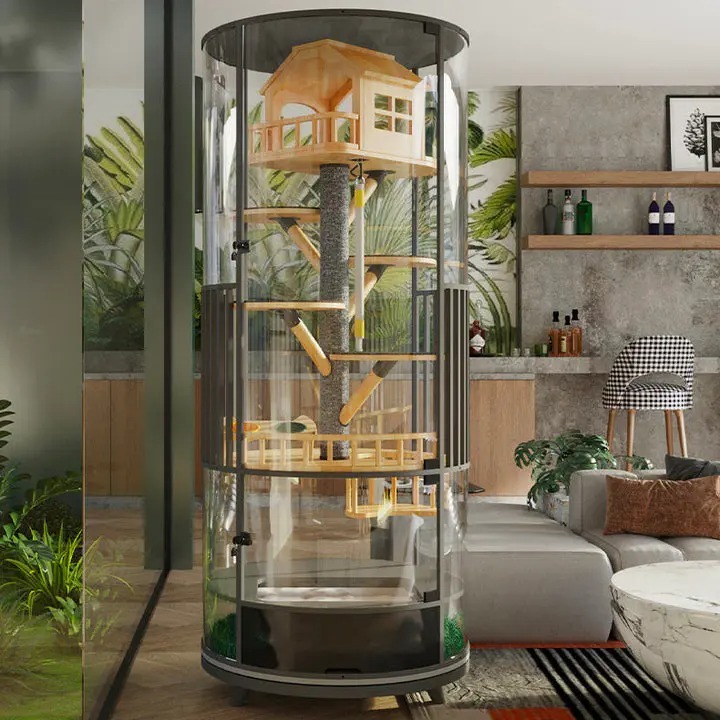 ❤️The Best Gift For Your Cats