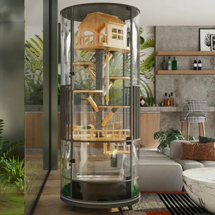 ❤️The Best Gift For Your Cats