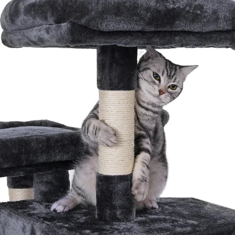 ❤️The Best Gift For Your Cats