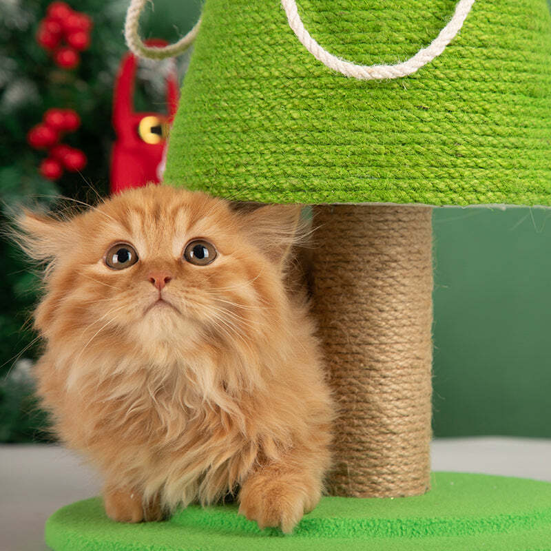 ❤️The Best Gift For Your Cats