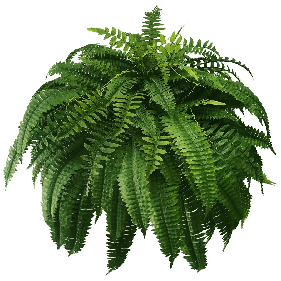 ✨This Week’s Special Price $22.99💥UV Resistant Lifelike Artificial Boston Fern