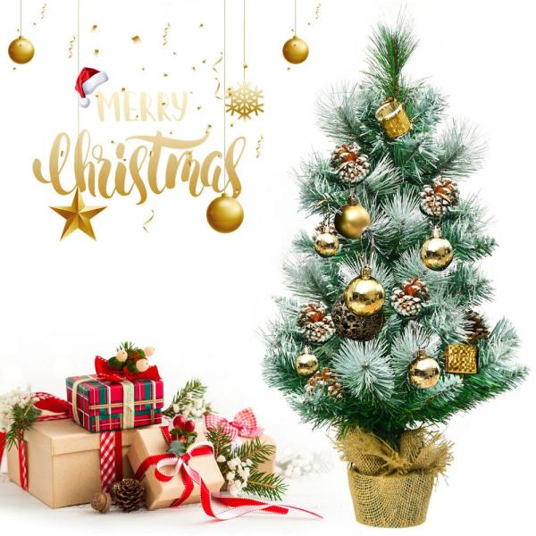 2 ft. Tabletop Mini Christmas Tree Snow Flocked Pine Tree with Base