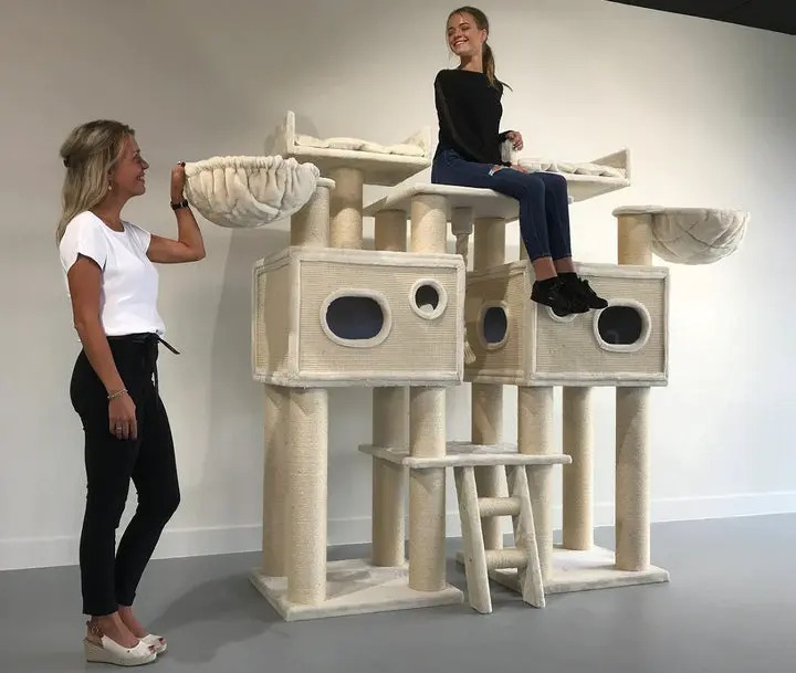 ❤️The Best Gift For Your Cats