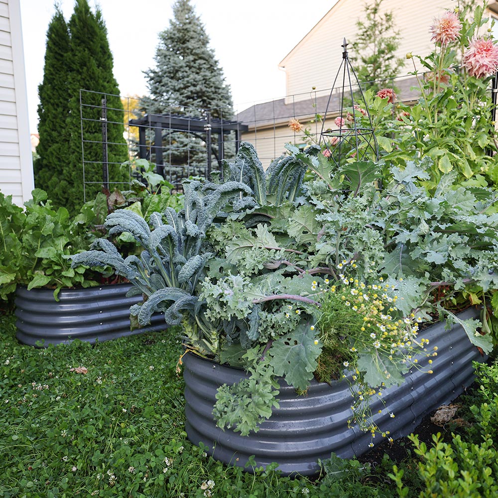 17″ Tall U-Shaped Large Size Metal Raised Garden Beds